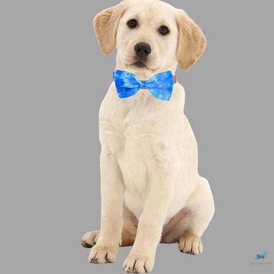 Blue Tie Dye: Pet Bow tie Accessory Sew chipper