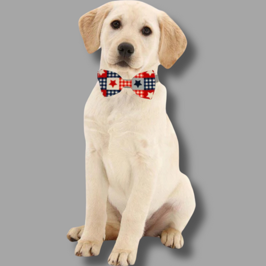 Patriotic Pattern, Pet Bow Tie