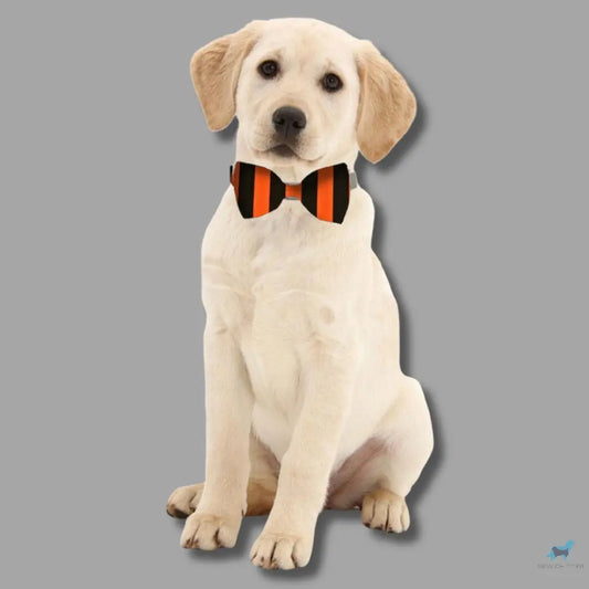Orange & Black Stripes, Pet Bow Tie Sew chipper