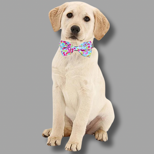 Multi Colored Dots, Pet Bow Tie Sew chipper